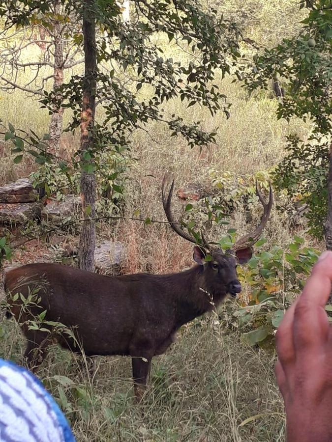 Sadhna Sadan Homestay Panna Madla Eksteriør billede